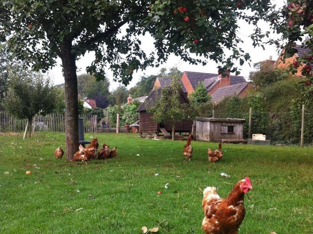 Cider Cottages Burley Exterior foto